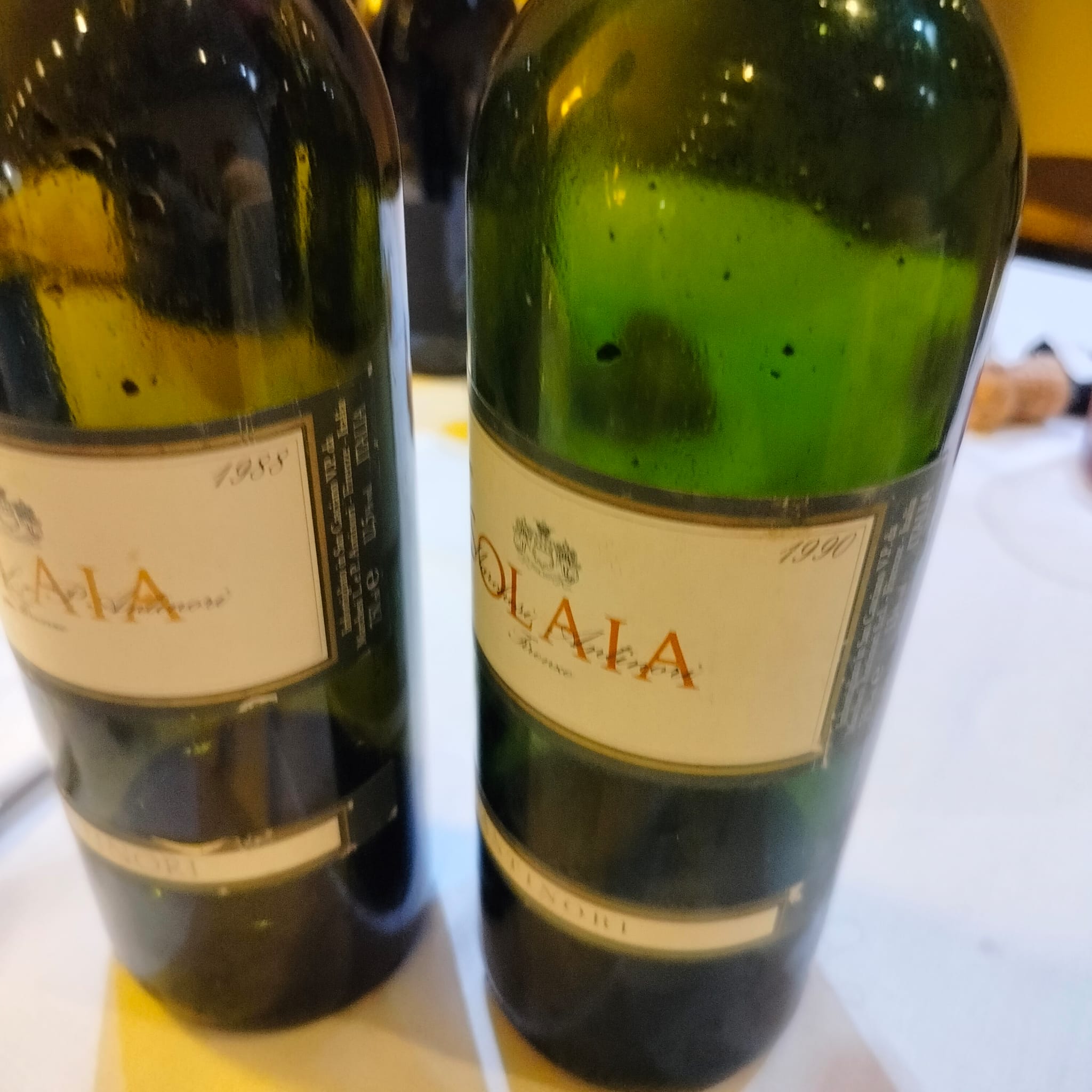A close-up detail of the Solaia vertical.