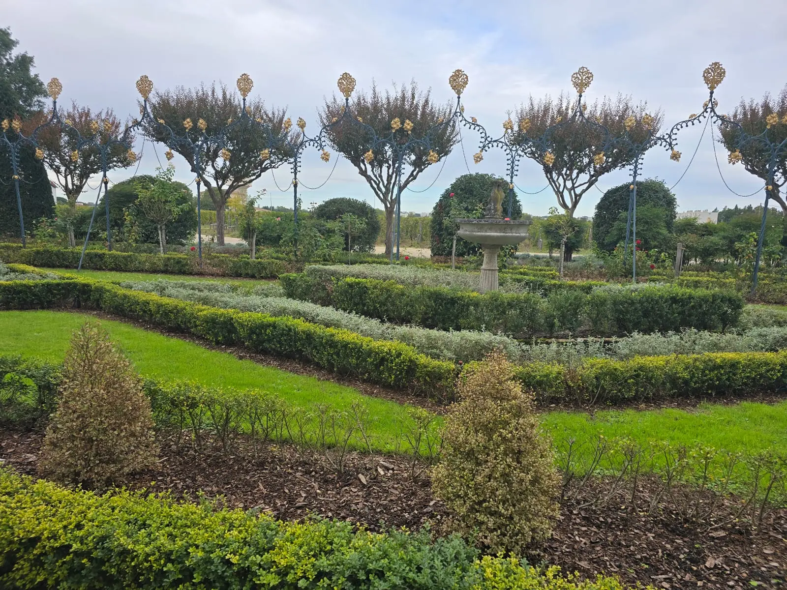 The formal garden with hedges and clipped trees at La Mission Haut-Brion