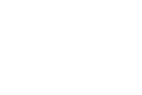 Logo of F.lli Turina